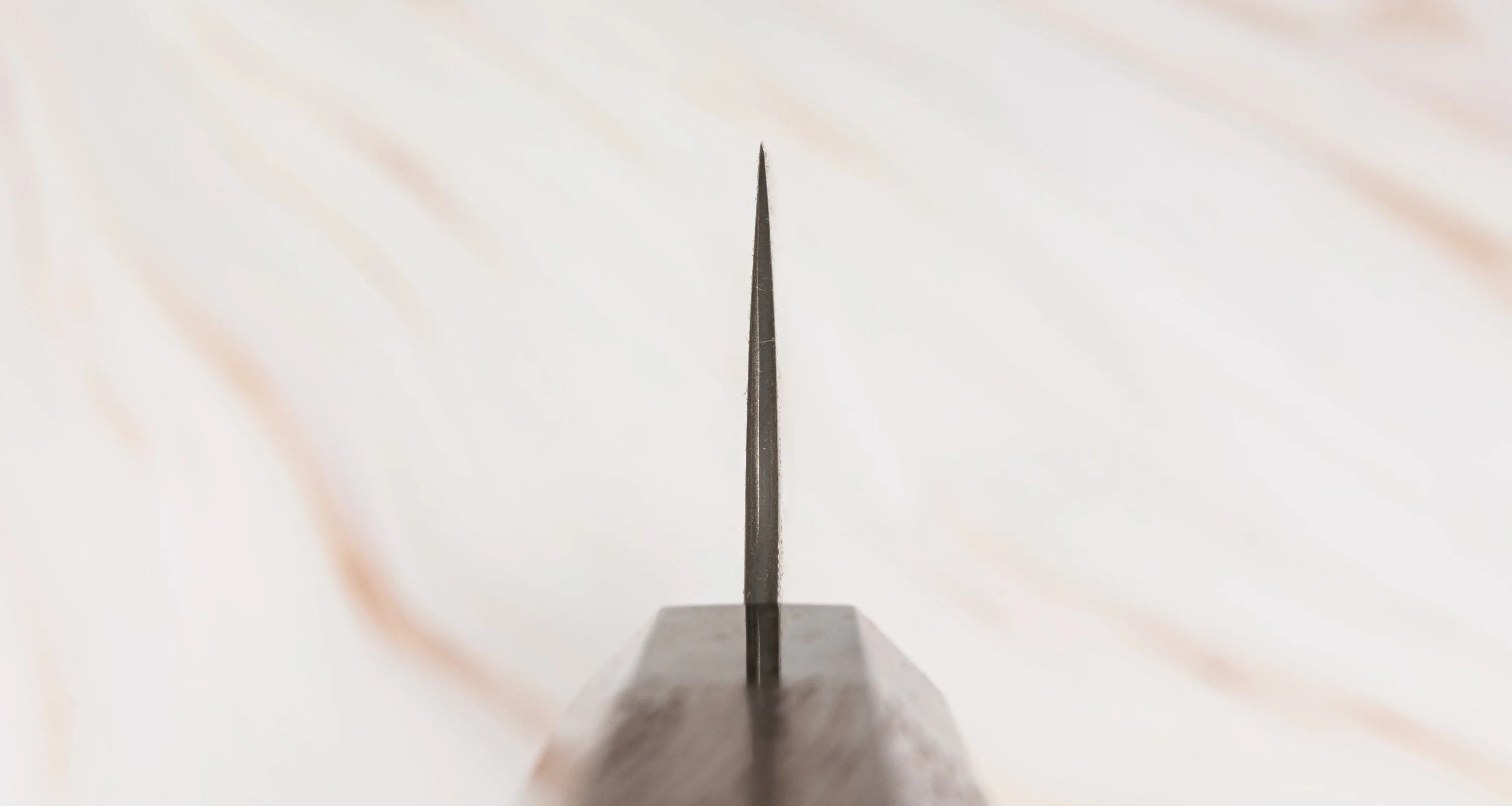 Nigara Sakimaru Sujihiki SG2 Damascus 270mm (10.6") - Image 7