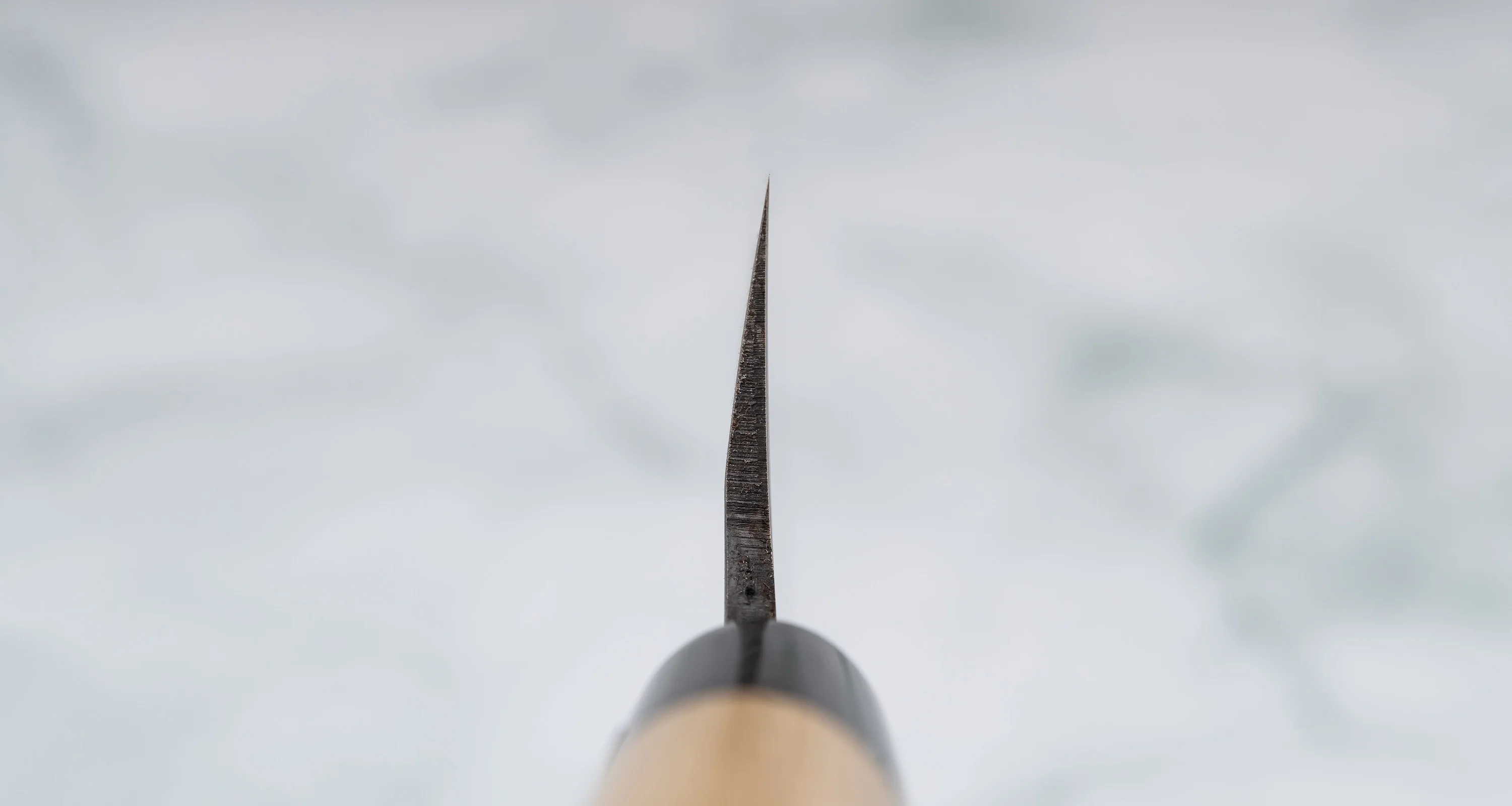 Tojiro Yanagiba Shirogami 240mm (9.4") - Image 3